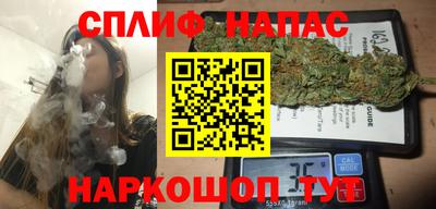 ешки Дубна