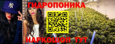 ешки Дубна