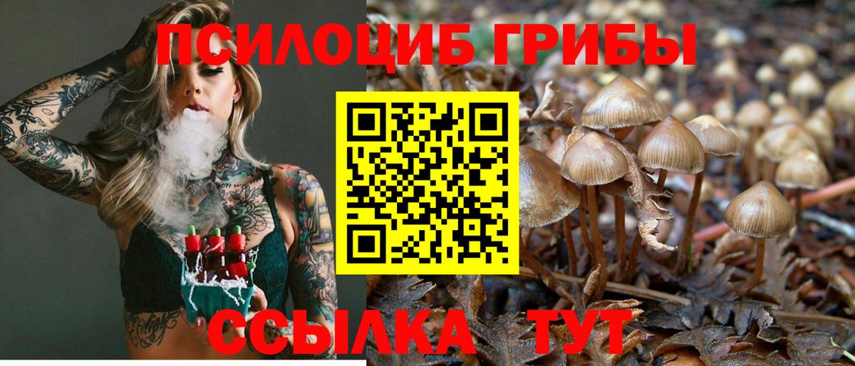 Галлюциногенные грибы Cubensis Кызыл